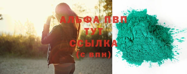 гидра Володарск