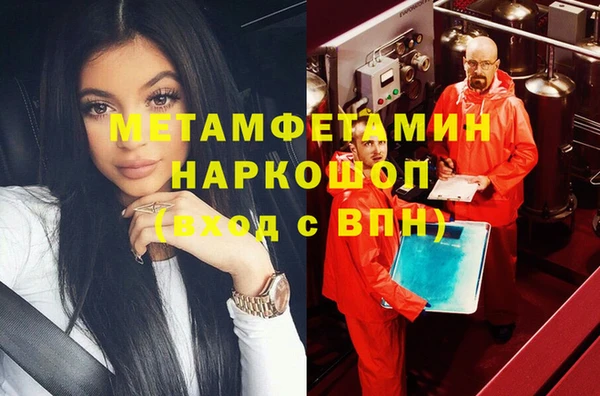 гидра Володарск