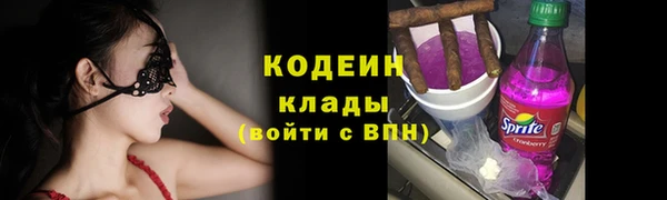 гидра Володарск