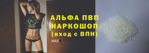 гидра Володарск