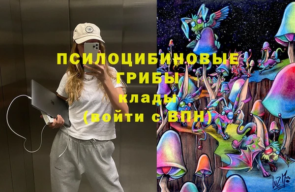 гидра Володарск