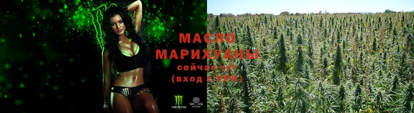 гидра Володарск